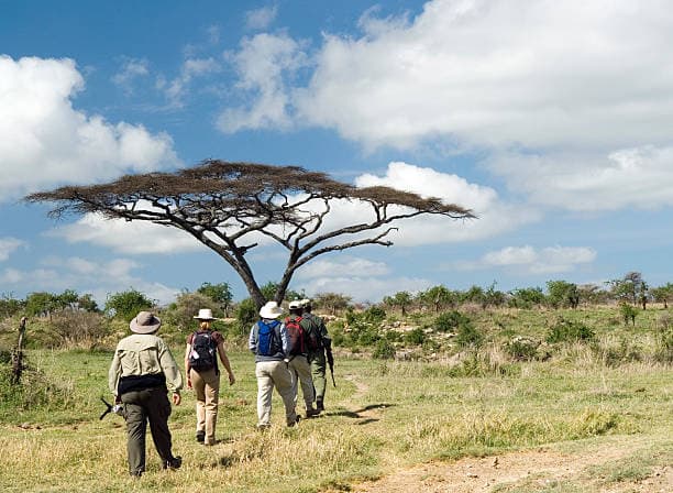 SafariSoar guide scanning the savannah from an open vehicle