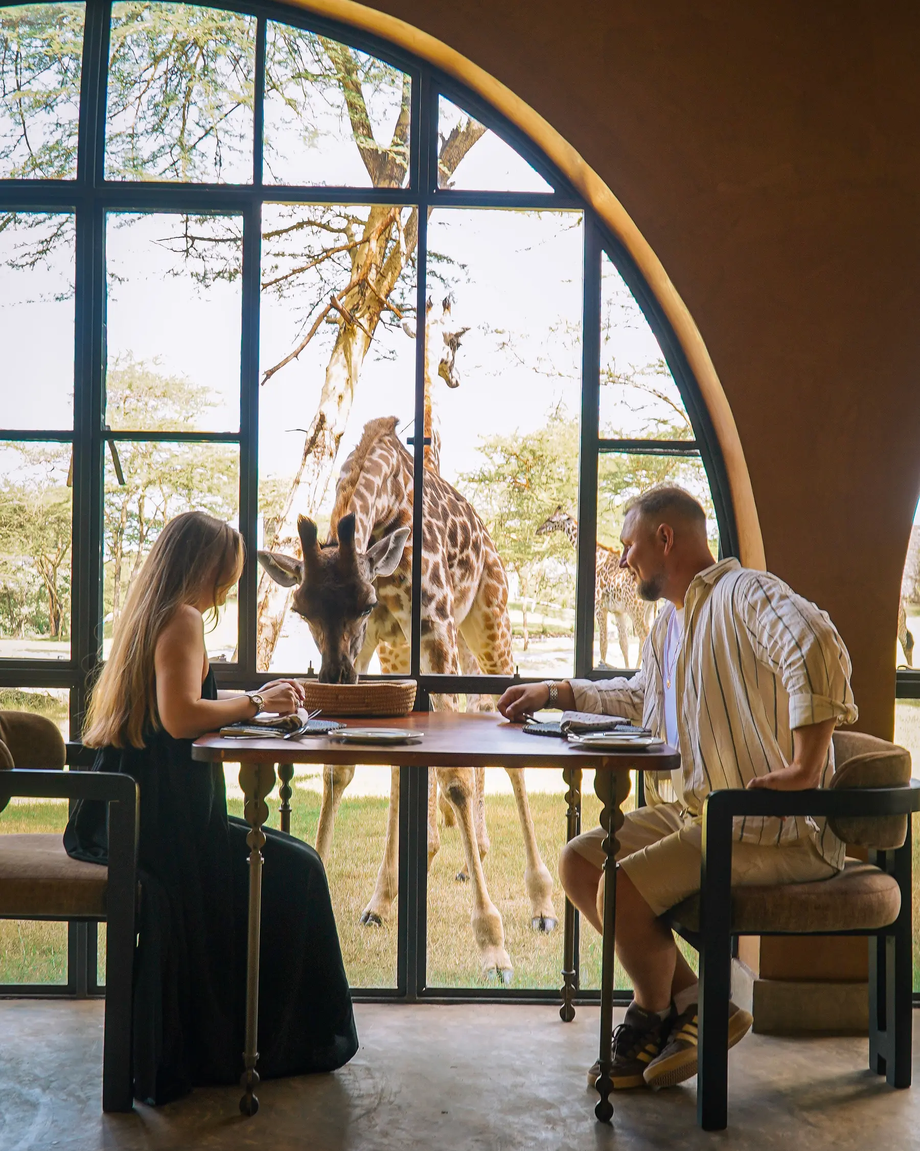 Guests at breakfast as a giraffe leans through the window