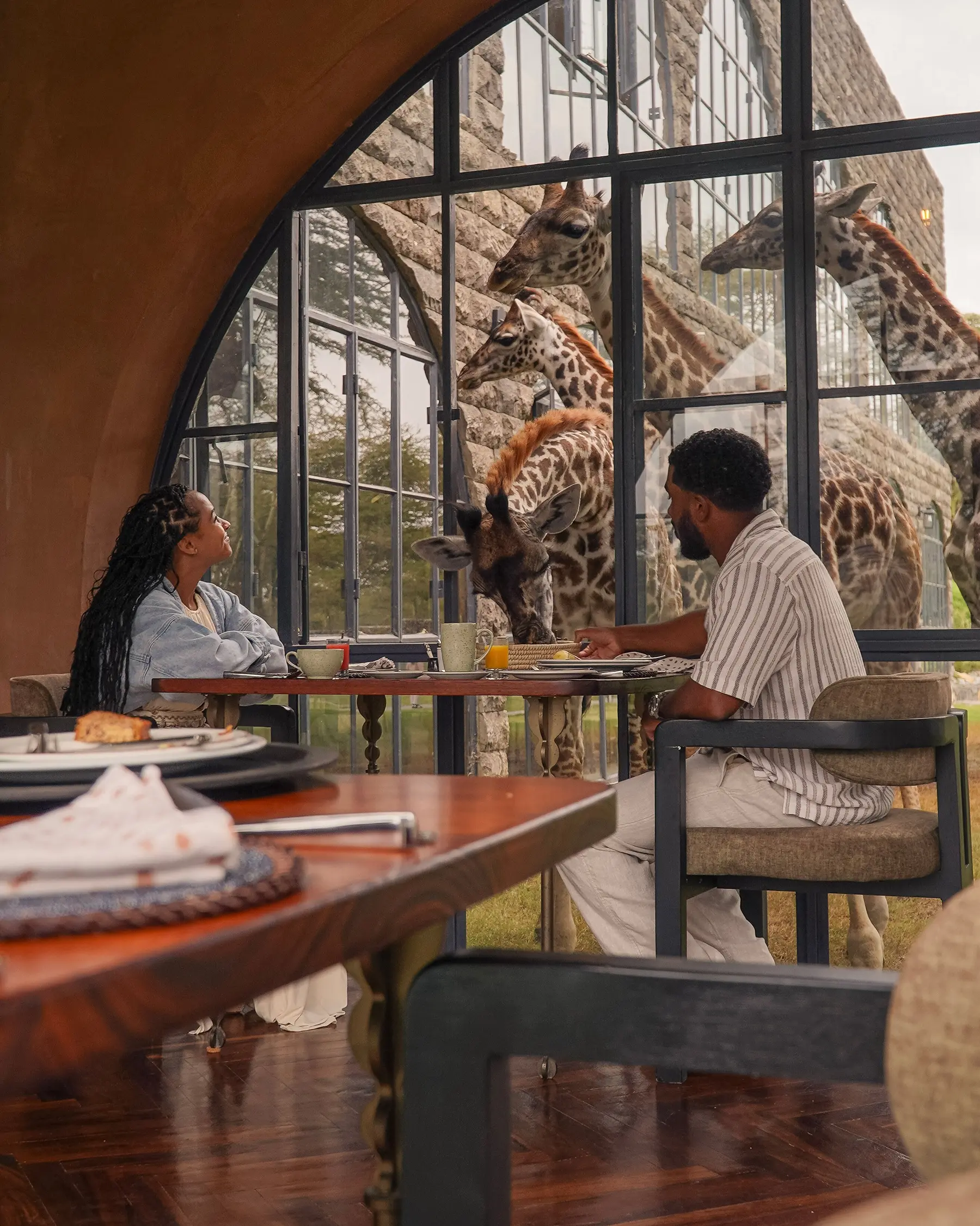 Giraffes looking in on diners through the arched windows