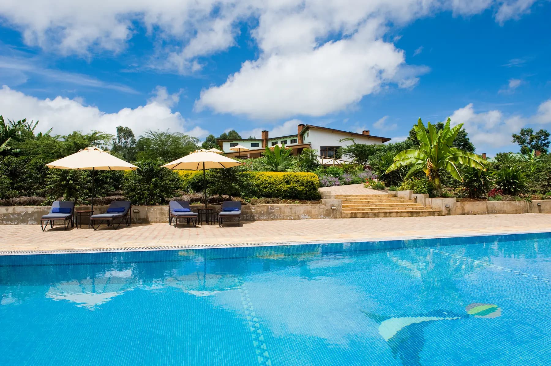 Swimming pool with the lodge above