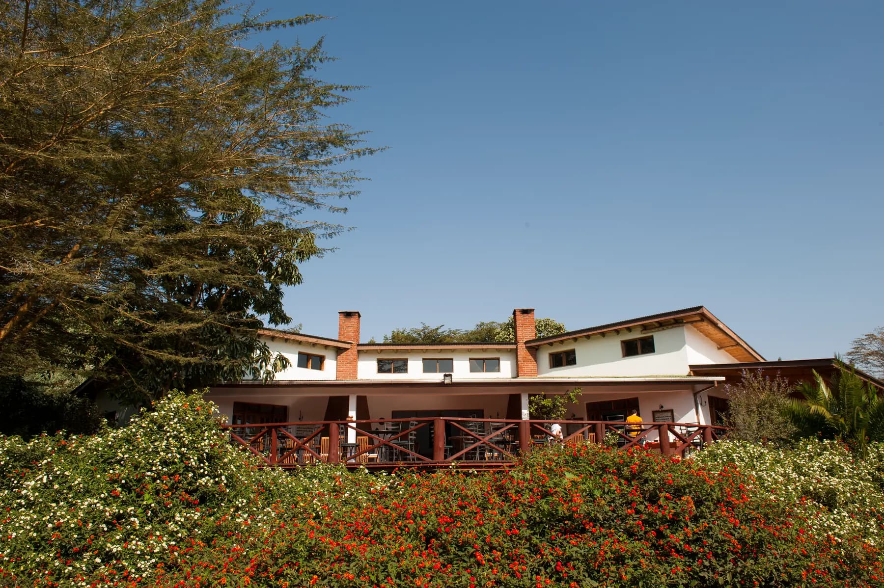Main house and terrace