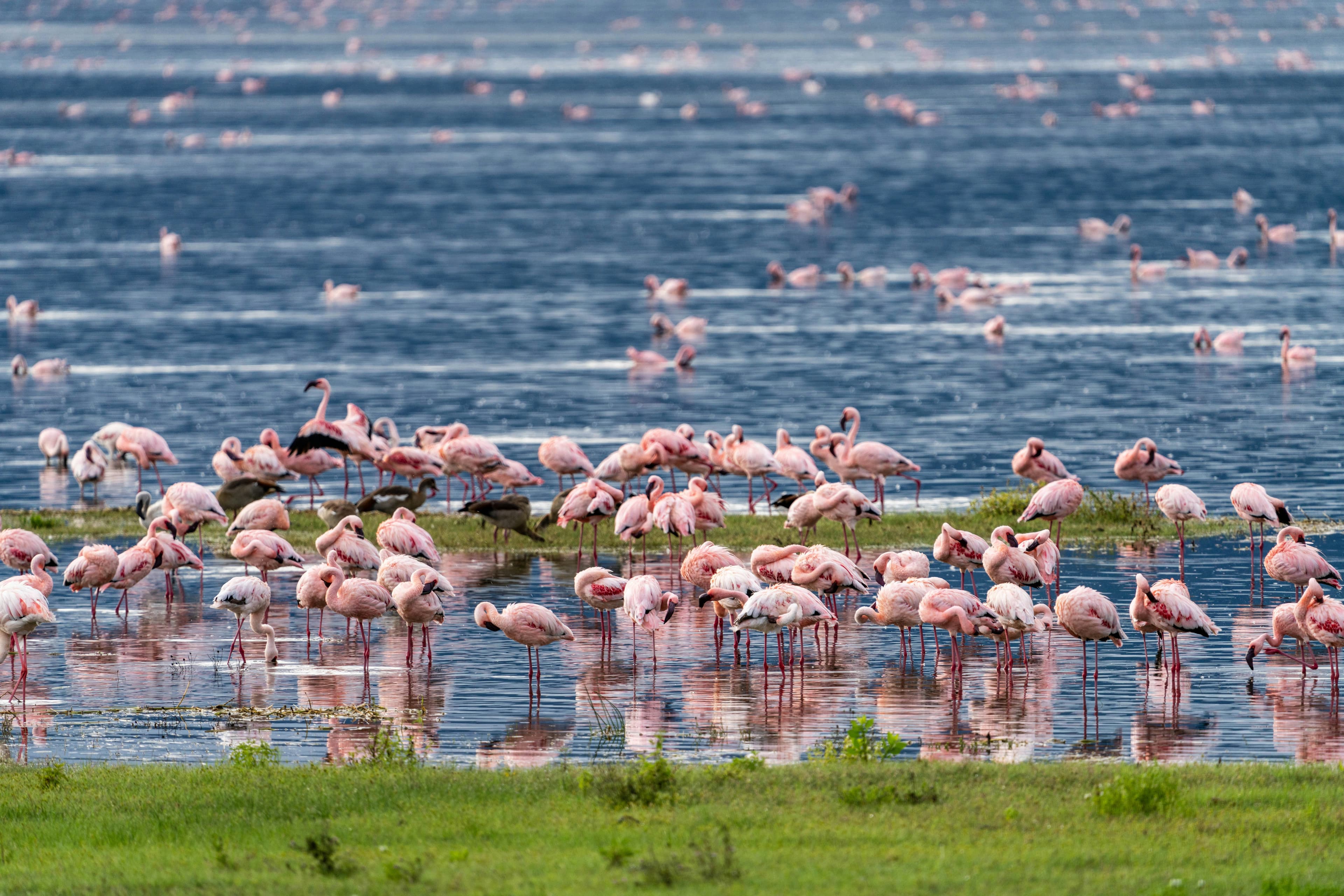 Ngorongoro Crater Explorer
