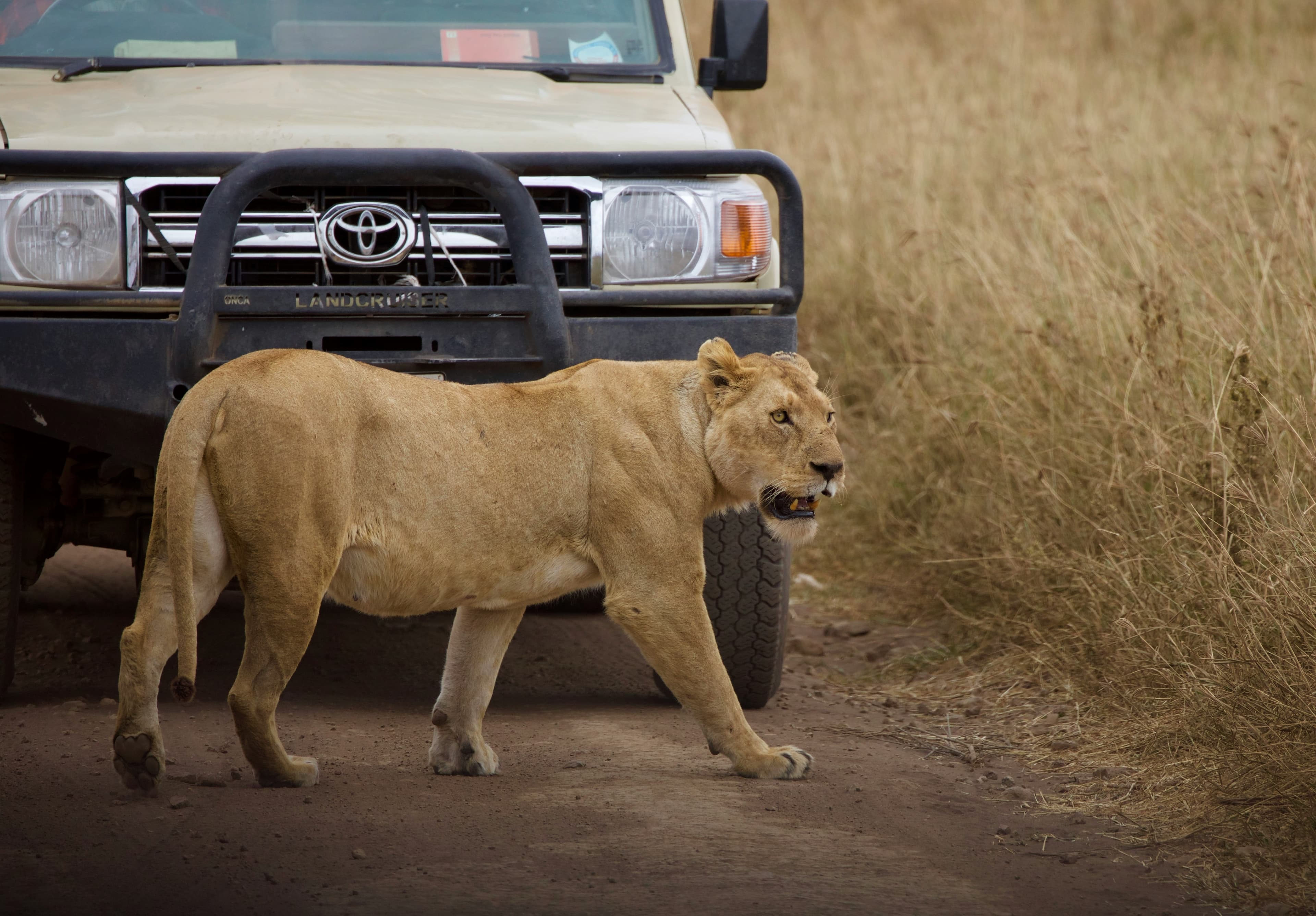 Northern Circuit Grand Safari