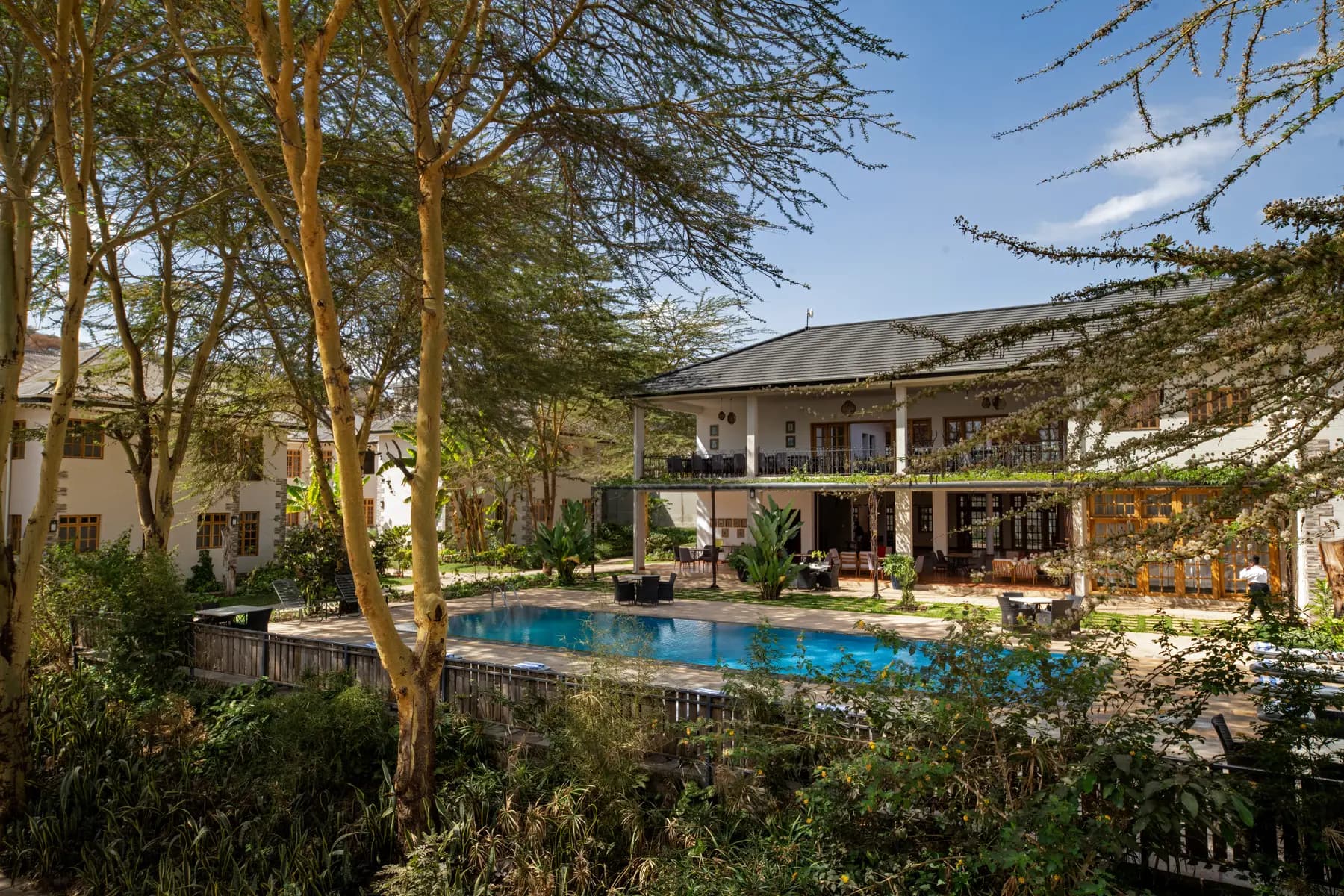 Garden and pool among acacia trees