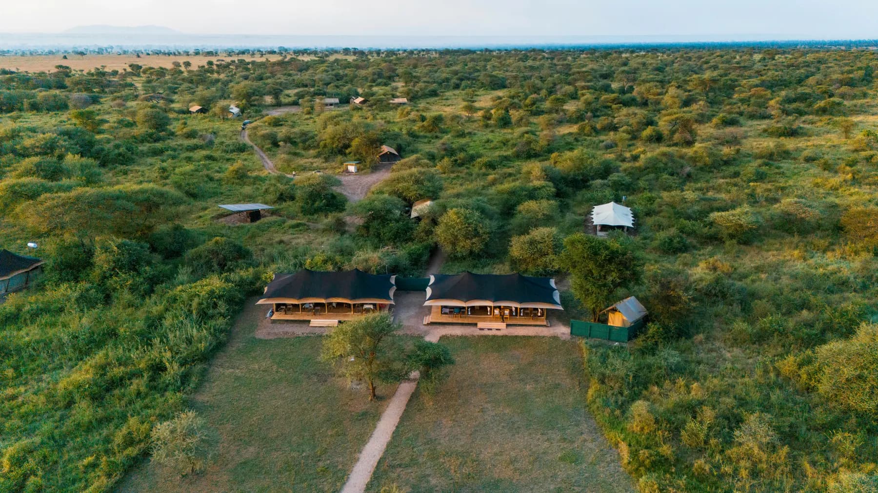 Aerial view of the camp tents in the bush