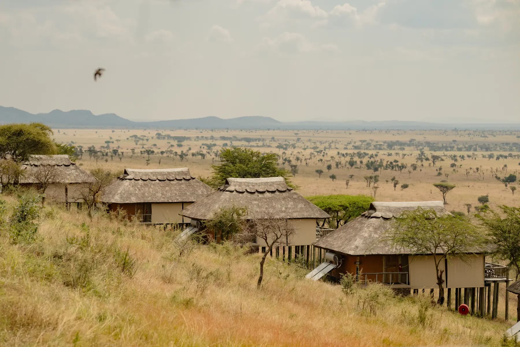Tents on raised platforms with views across the savannah