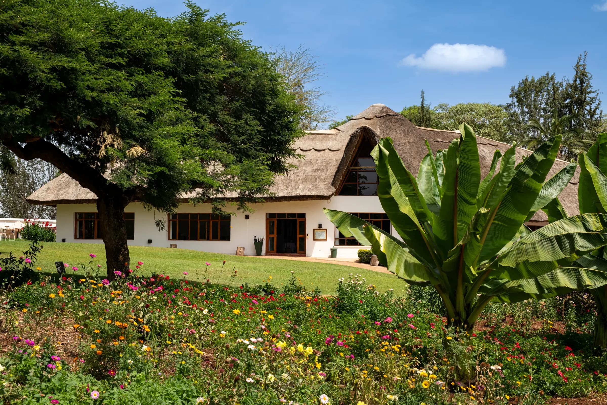 Thatched Ngorongoro Farm House among tropical gardens