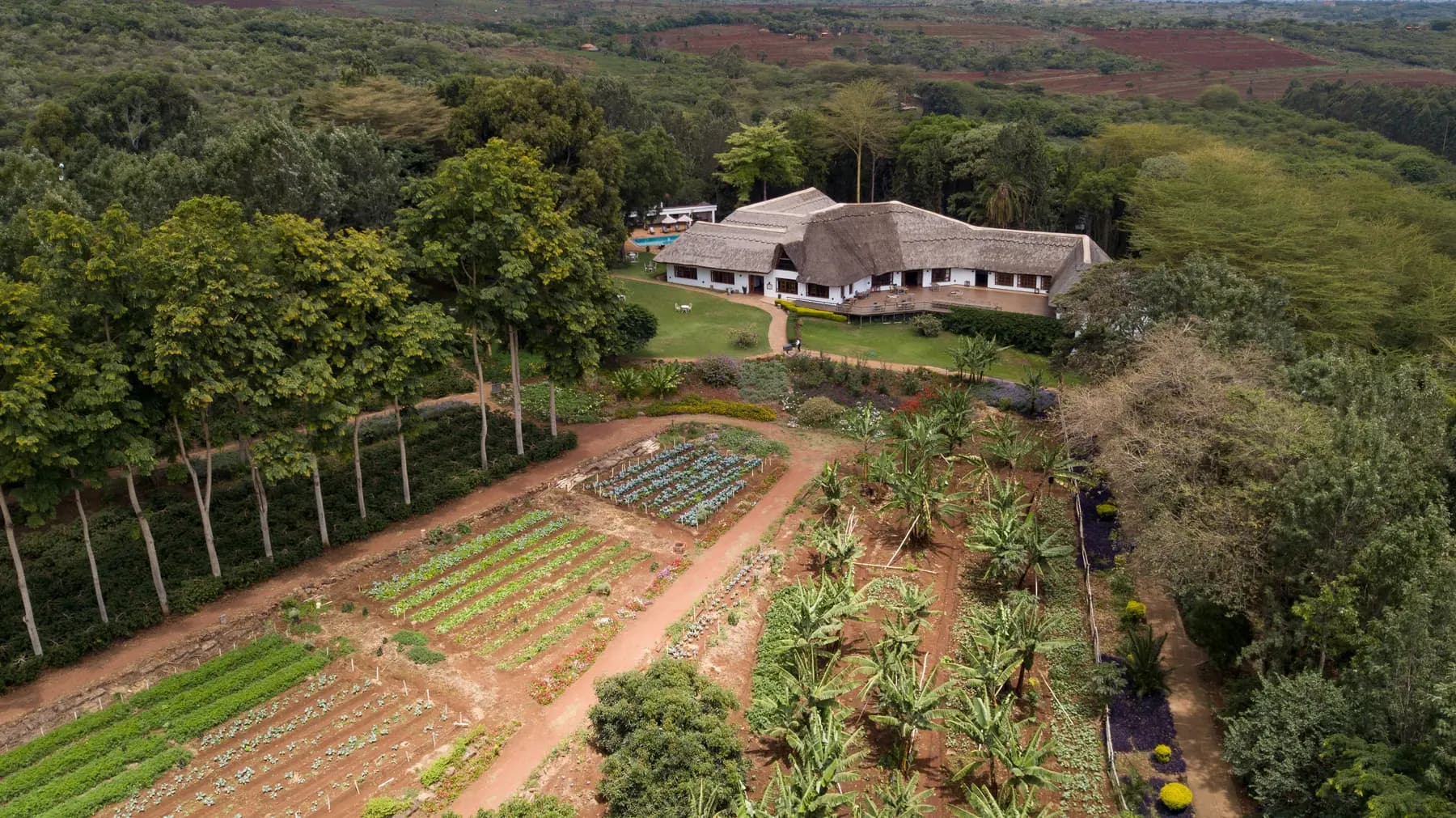 Aerial view of the farmhouse and its gardens